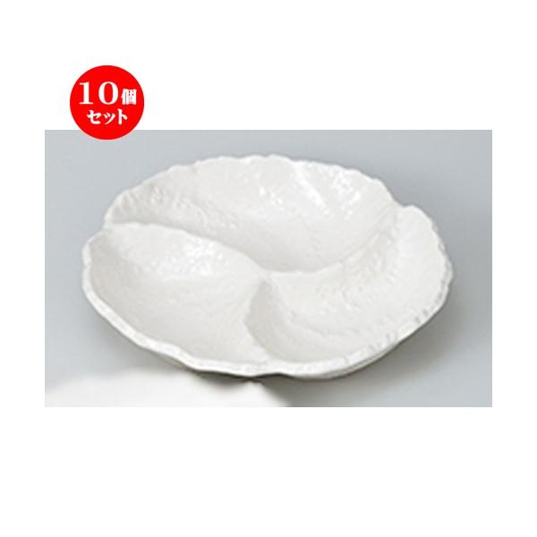 10Zbg݌ÏĐM ց@I[hu m 28 x 26 x 5cm n | M M aH mH  Ɩp