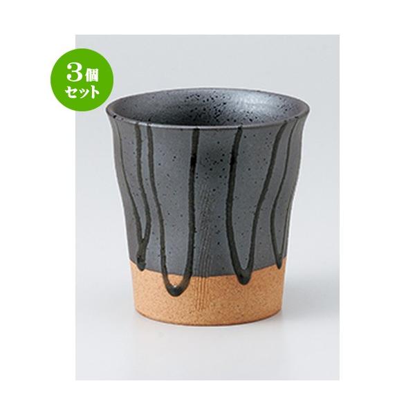 3Zbg t[Jbv aH / l瑾Jbv @F10 x 10.2cm E 400cc