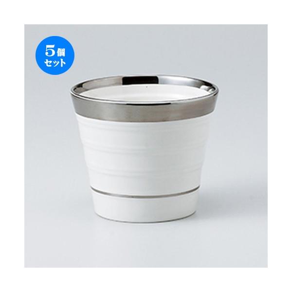 酒器 銀 コップ」の人気商品一覧 | 安い商品を通販サイトから探す