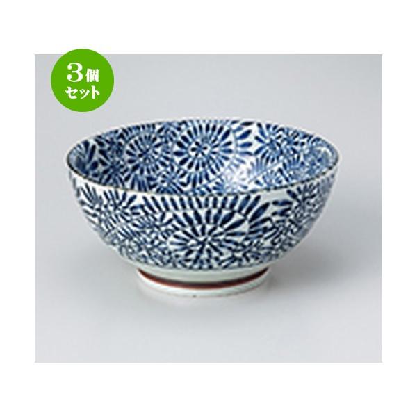 3Zbg  aH / ^R ʂ @F18.5 x 8.8cm