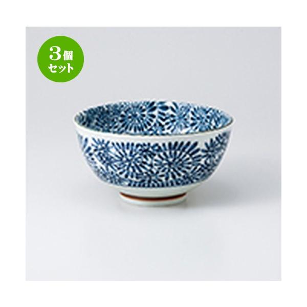 3Zbg  aH / ^R yʘij @F16.0 x 8.5cm