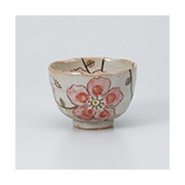 Ղq aH / ԂȂꕞqPK @:10 x 7cm E 270cc