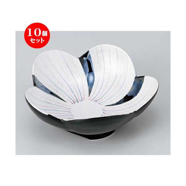 10Zbg I ֓F꒿X^[Ԍ^t m 14.3 x 14.3 x 5.8cm n  |  aH mH  Ɩp