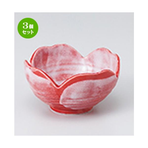 3Zbg  aH / ԍюlcRij @F10.3 x 5.7cm |  aH mH  Ɩp