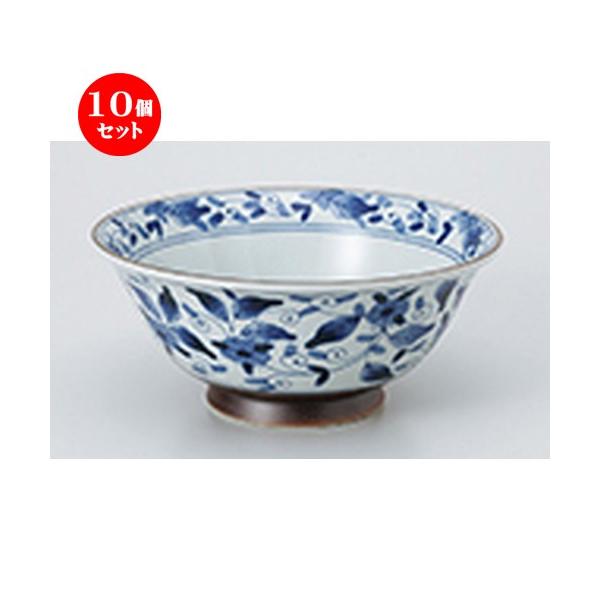 10�Z�b�g ���ؒP�i �y�ʖ˔� �Ð��ʉ� �m 19.8 x 8.6cm �E 1000cc �n �y ���ؗ��� ���[���� �`���[�n�� ���H�X �Ɩ��p �z