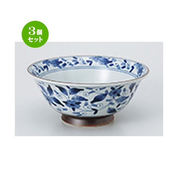 3Zbg ؒPi ؐH / yʖ˔ Ðʉ @F19.8 x 8.6cm E 1000cc