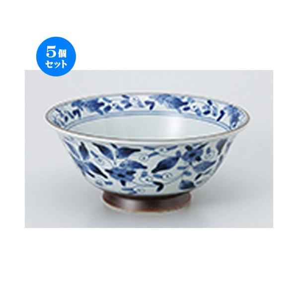 5�Z�b�g ���ؒP�i �y�ʖ˔� �Ð��ʉ� �m 19.8 x 8.6cm �E 1000cc �n �y ���ؗ��� ���[���� �`���[�n�� ���H�X �Ɩ��p �z