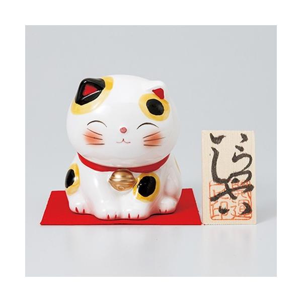 CeA u / قق݃t@~[lRoN @:h 7.7cm