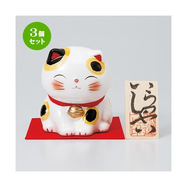 3Zbg CeA u / قق݃t@~[lRoN @Fh 7.7cm