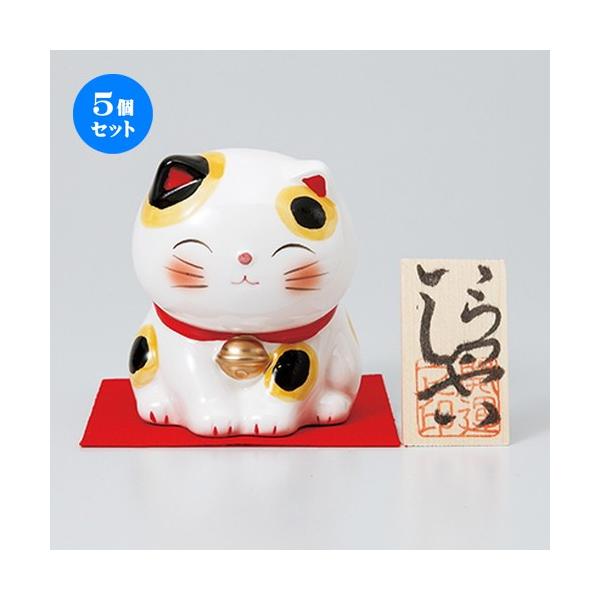 5Zbg CeA قق݃t@~[lRoN m h 7.7cm n y N u CeA 킢 {yY z