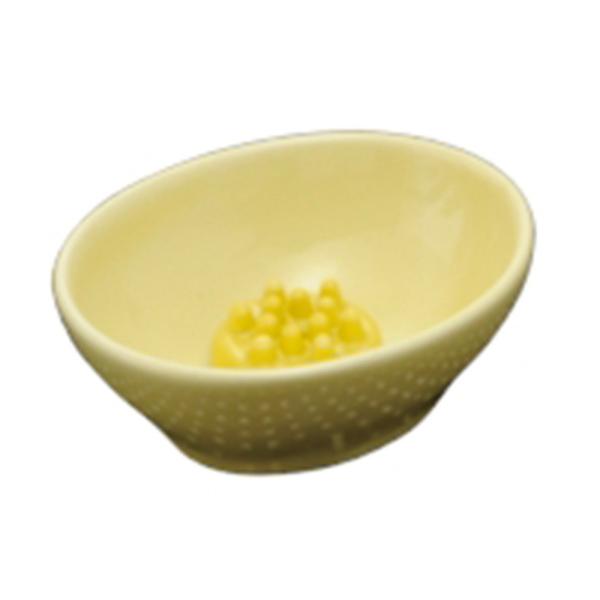  ȉ~~j CiʕtjF [6×5×2.4cm] |  킢 Mtg