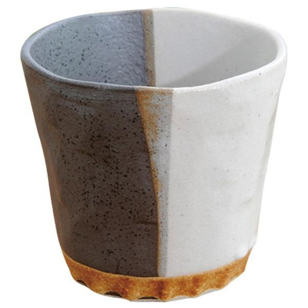 ĒJbv hibNJbvj [a9.8×9cmE360cc] |  킢 Mtg