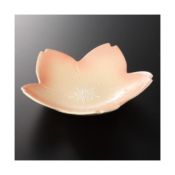  It   O؎M [ 22.5 x 21.5 x 4.7cm 410g ] y   aH HX Ɩp z