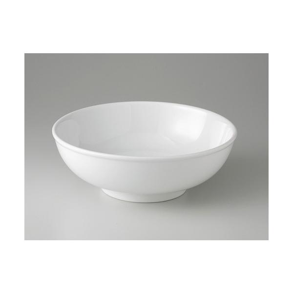  ؃I[v  VmzCg 5.0ʘ [ 15.3 x 6.2cm 560cc ] y [X ؐH AWA HX Ɩp z