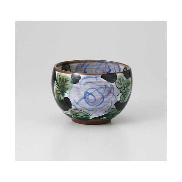  pq  Zo ۘq [ 9.5 x 6.6cm 245g ] y   aH HX Ɩp z