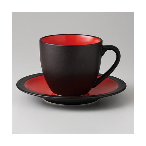  aR[q[b/r  BRAJ R[qC/S [ 255cc 442g ] y ze Xg JtF mH HX Ɩp qp z