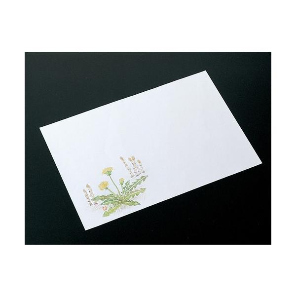  a  ~P00 PۂہEyMiQ|3j [ 39.5 x 26.5cm ] y   aH HX Ɩp ܂Ƃߔ tďH~ z