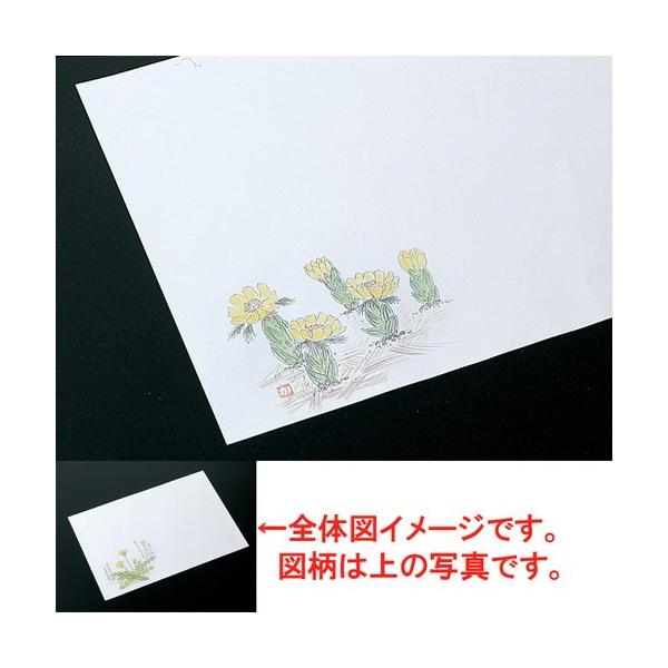  a  ~P00 Qi3|5j [ 39.5 x 26.5cm ] y   aH HX Ɩp ܂Ƃߔ tďH~ z