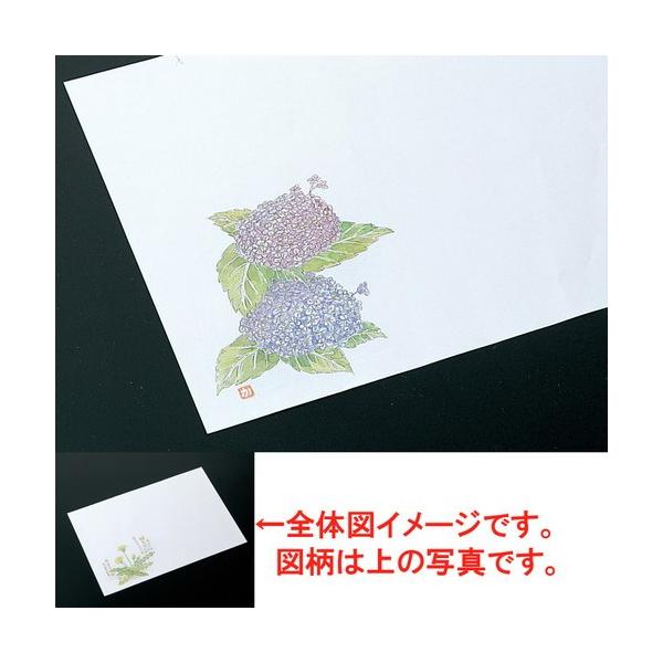  a  ~P00 Ri4|5j [ 39.5 x 26.5cm ] y   aH HX Ɩp ܂Ƃߔ tďH~ z