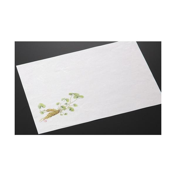  a  a~P00 S킳сi5|7j [ 36.5 x 26.5cm ] y   aH HX Ɩp ܂Ƃߔ tďH~ z