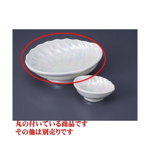 hg LcăX^[ьt [18.5 x 15.5 x 5cm]   aH HX Ɩp