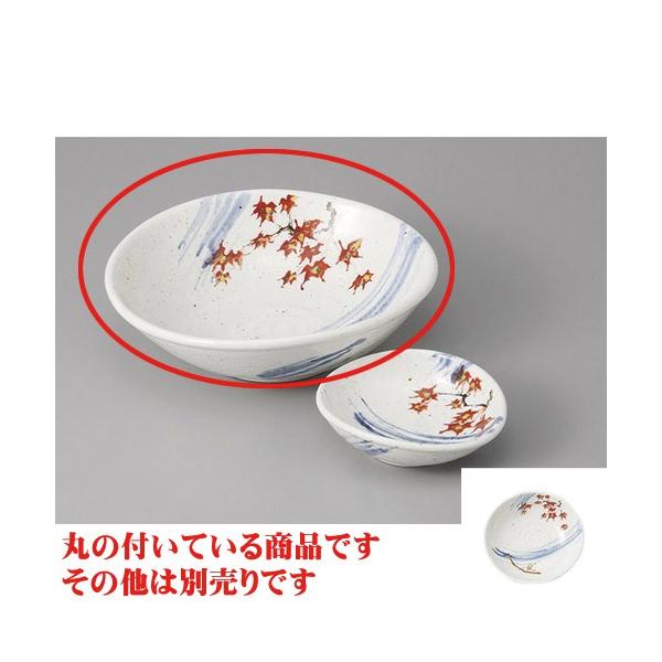 hg Rȉ~ [18.6 x 17.5 x 5.3cm]   aH HX Ɩp