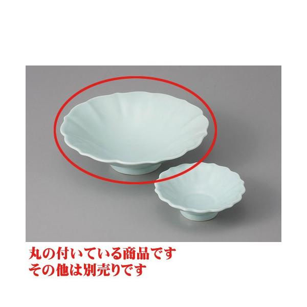 hg Ő()Ԍ`t [14.2 x 4.2cm]   aH HX Ɩp