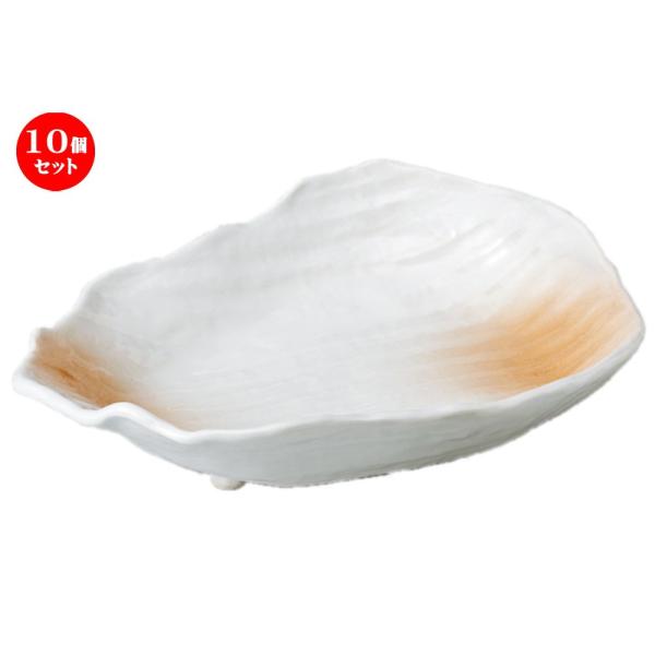 10�Z�b�g �� �h�g �������ڂ̊�^���t [ 19.5 x 14 x 4.5cm ] �y ���� ���� �a�H�� ���H�X �Ɩ��p �z