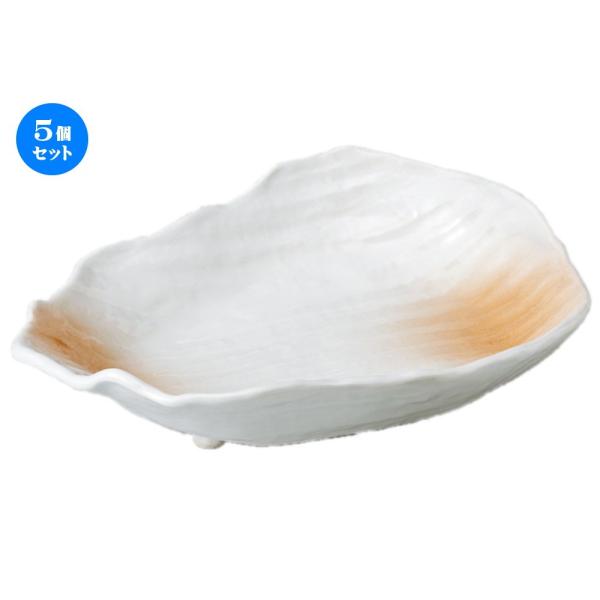 5�Z�b�g �� �h�g �������ڂ̊�^���t [ 19.5 x 14 x 4.5cm ] �y ���� ���� �a�H�� ���H�X �Ɩ��p �z