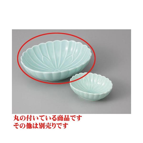 hg qXCe^hg [16 x 13 x 5cm]   aH HX Ɩp