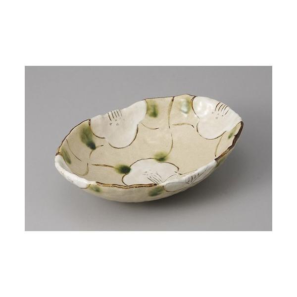 t iqԑȉ~ [21.3 x 15.3 x 5.5cm]   aH HX Ɩp