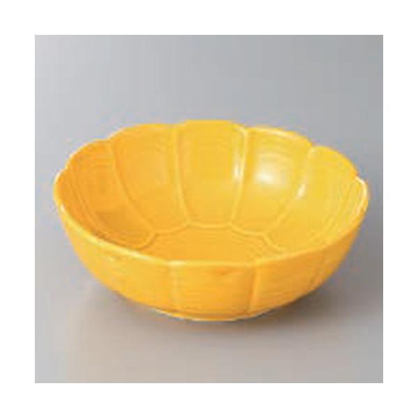  t e`JS [ 14 x 4.7cm ] y   aH HX Ɩp z