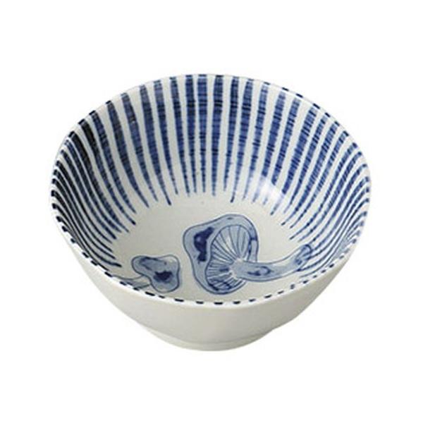 aH ۏ / ؔp @: 10.9 x 5.4cm |  aH mH  Ɩp