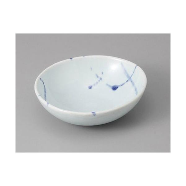 ό` SXU炵܂4.5 [13.7 x 12.8 x 4.3cm]  |  aH mH  Ɩp