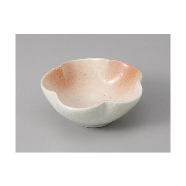 t sNԌ^t [9 x 3.8cm]    aH HX Ɩp