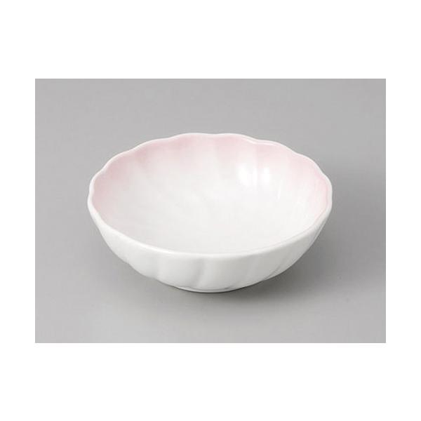 ԓ sN˂e^ [11.5 x 4cm]   |  aH mH  Ɩp