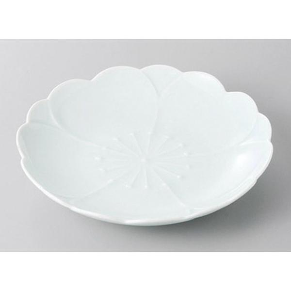 aH aM / LcĂ ()MD15cm @:15 x 2cm