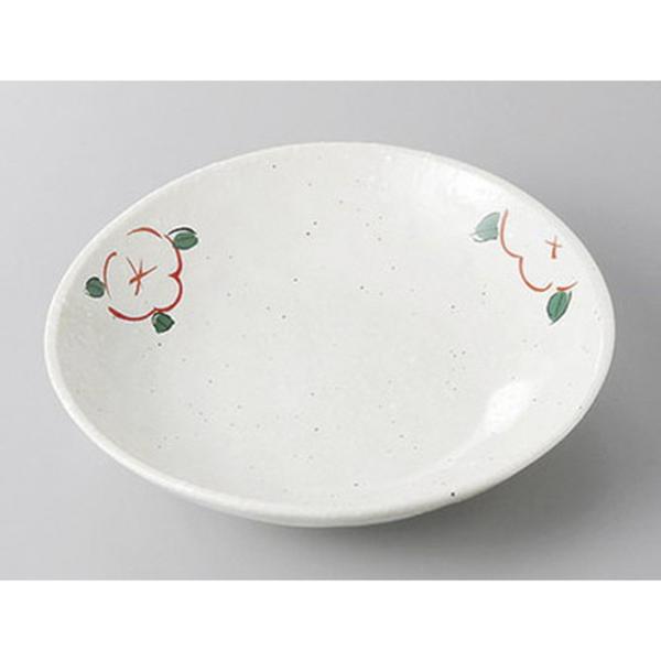 aH aM / ᕲԊG5.0ȉ~[M @:16.7 x 16 x 3.5cm