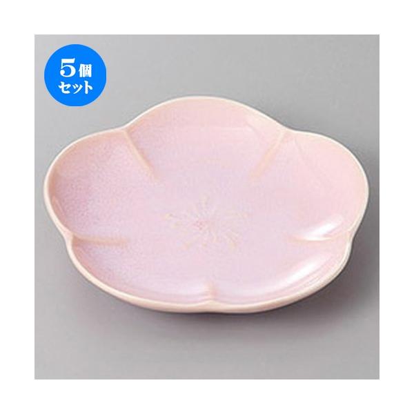 5Zbg aM sNXM [ 14.5 x 2.5cm ] y   aH HX Ɩp z