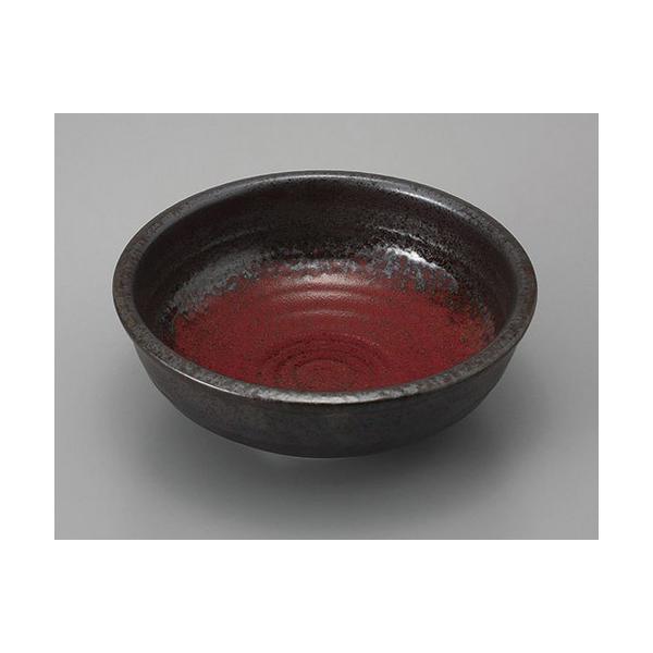 gEgE{[ _ʟ6.0 [19 x 7.2cm]    aH HX Ɩp