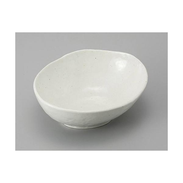 gEgE{[ ֑唫 [19.5 x 16.3 x 6.5cm]    aH HX Ɩp