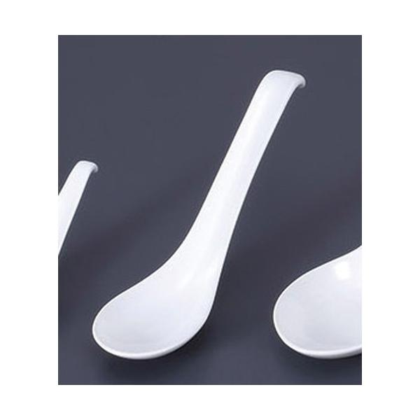 Q n[gZ~bN[W[Q [20 x 5.3 x 4.3cm]  y   aH HX Ɩp