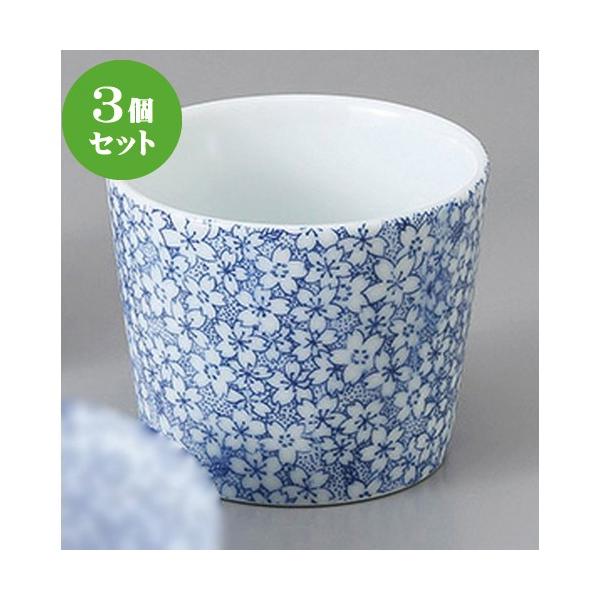 3Zbg Ηpi Sʃ~jΒ [ 7.7 x 6.2cm 170cc ] y  H aH HX Ɩp z