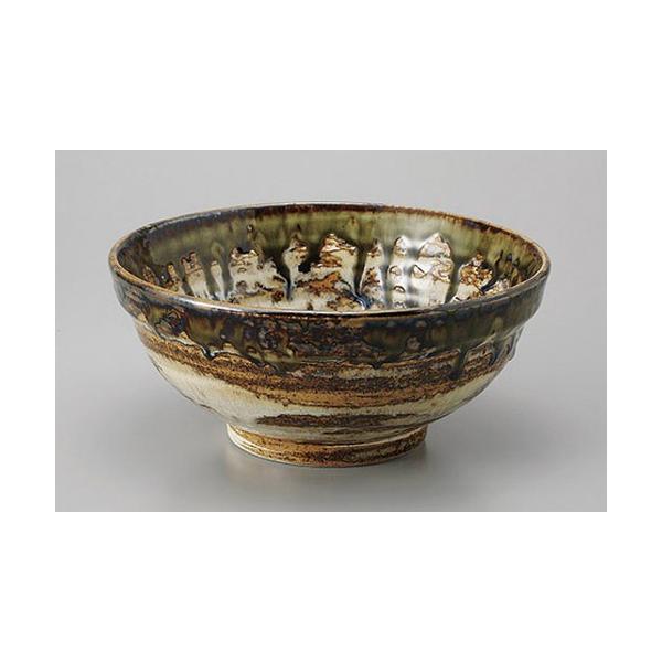  Dʟ6.0 [19 x 8.5cm]    aH HX Ɩp