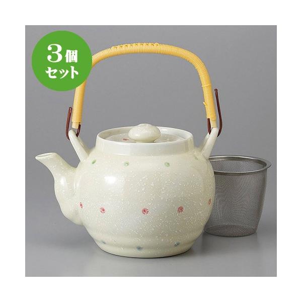 3Zbg Lcyr ʂUyr [ 1000cc ] y   aH HX Ɩp z