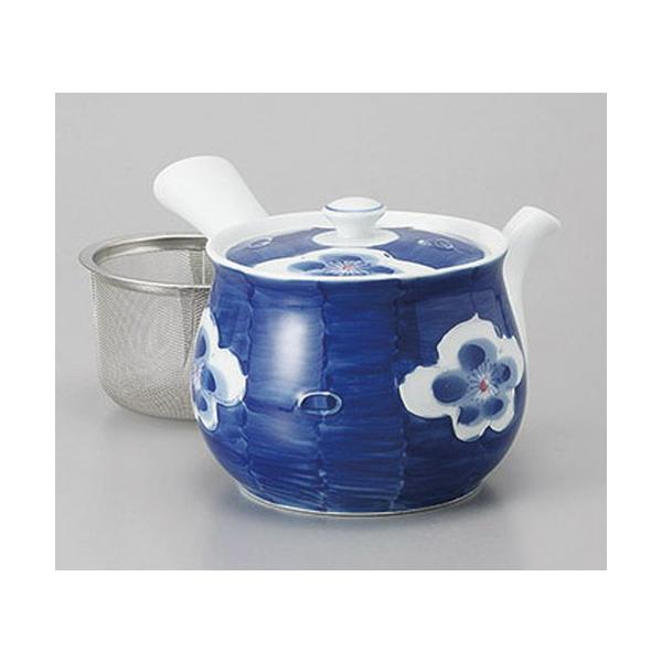 Lcċ}{ LcĔ~Ut}{ [650cc]    aH HX Ɩp