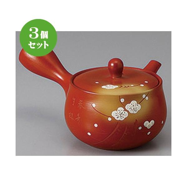 3Zbg 튊}{ DԌ^~ڂ}{(₩A~) [ 330cc ] y   aH HX Ɩp z