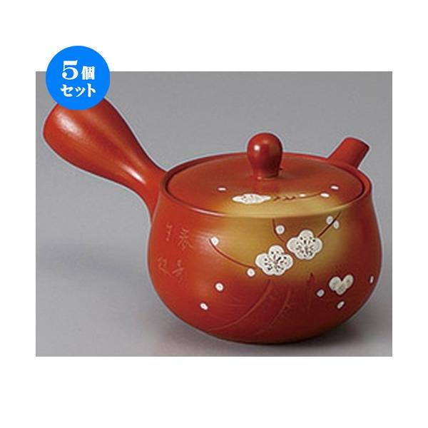 5Zbg 튊}{ DԌ^~ڂ}{(₩A~) [ 330cc ] y   aH HX Ɩp z