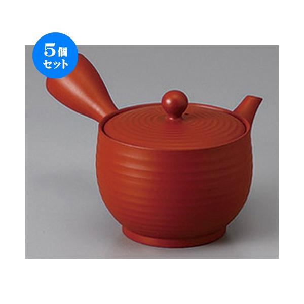 5Zbg 튊}{ Di}{(₩A~) [ 330cc ] y   aH HX Ɩp z