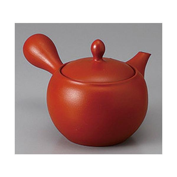  튊}{ Dی^n}{(A~) [ 330cc ] y   aH HX Ɩp z